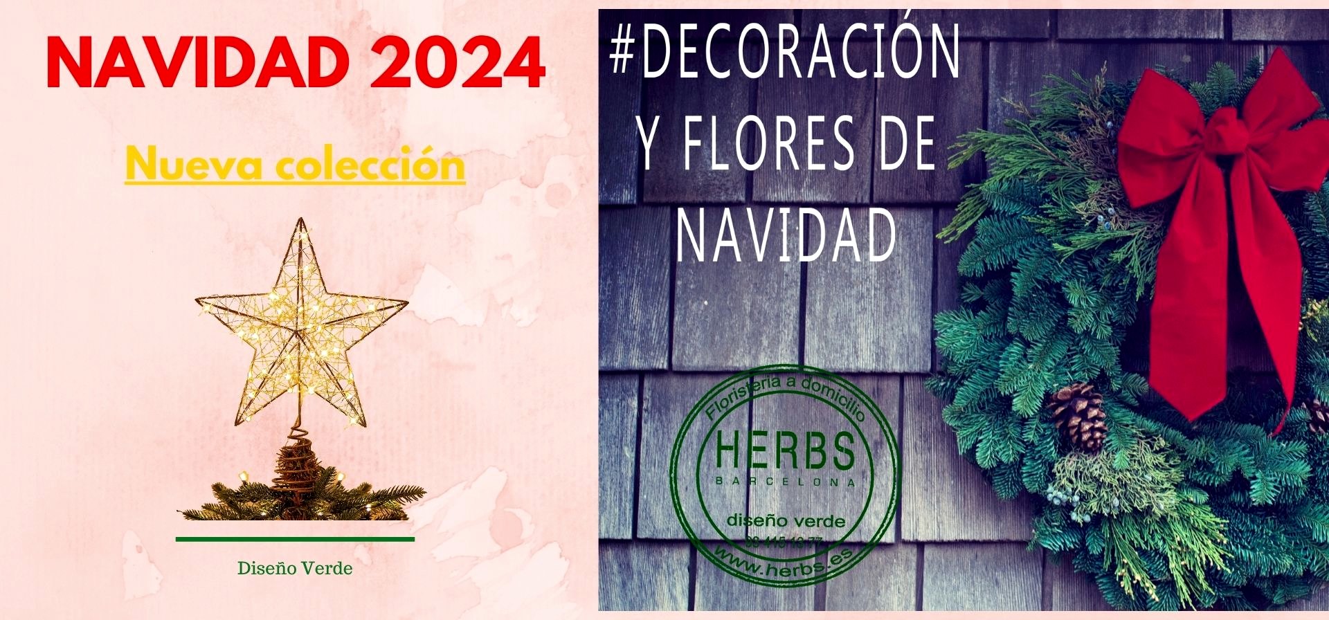 Flores plantas navidad